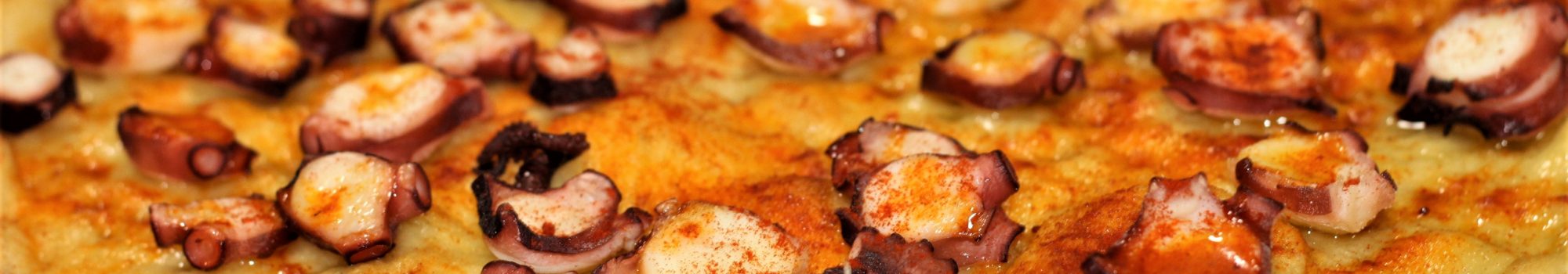 Gallega Gallega